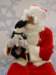santapaws2012_0435_06_small.jpg
