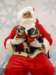 santapaws2012_0436_01_small.jpg