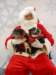 santapaws2012_0436_02_small.jpg