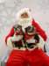 santapaws2012_0436_05_small.jpg