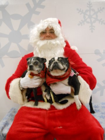 santapaws2012_0436_06.jpg