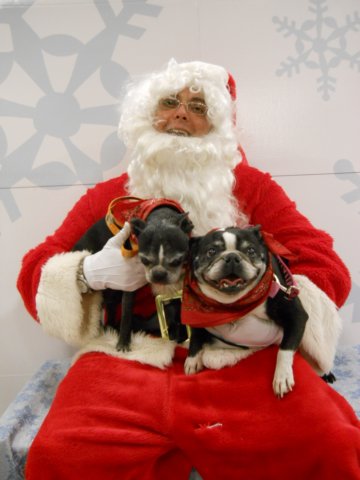 santapaws2012_0436_09.jpg