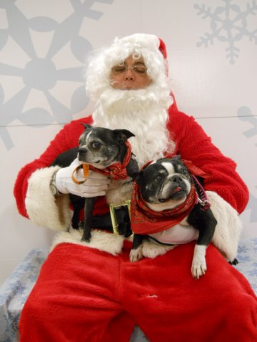 santapaws2012_0436_11.jpg