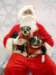 santapaws2012_0436_12_small.jpg