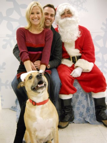santapaws2012_0438_02.jpg