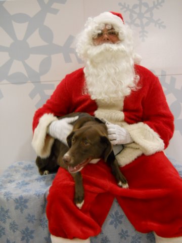 santapaws2012_0440_01.jpg