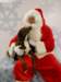 santapaws2012_0440_02_small.jpg