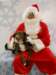 santapaws2012_0440_04_small.jpg