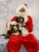 santapaws2012_0440_07_small.jpg