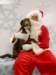 santapaws2012_0440_09_small.jpg