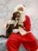 santapaws2012_0440_10_small.jpg