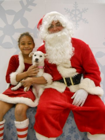 santapaws2012_0499_01.jpg