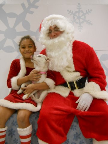 santapaws2012_0499_03.jpg