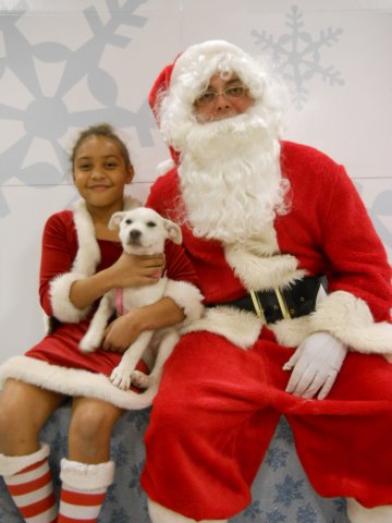 santapaws2012_0499_04.jpg
